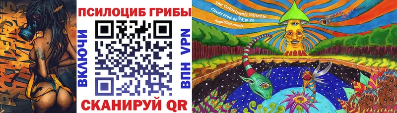 Псилоцибиновые грибы Cubensis  Шатура 