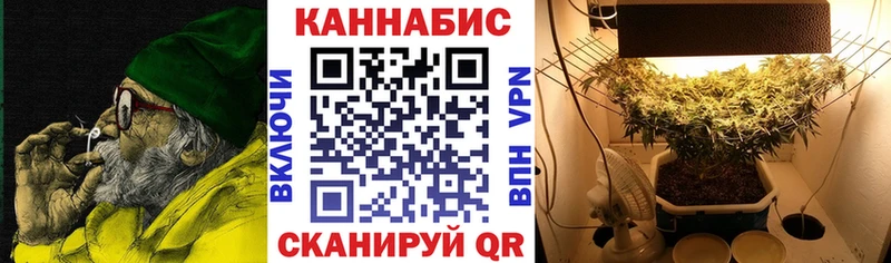 МАРИХУАНА гибрид  продажа наркотиков  Шатура 